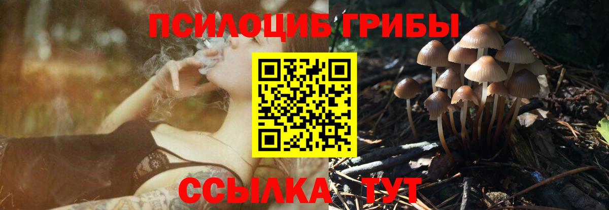 Туапсе  Галлюциногенные грибы GOLDEN TEACHER  Вход с VPN 